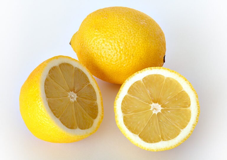 citron-dioscuria