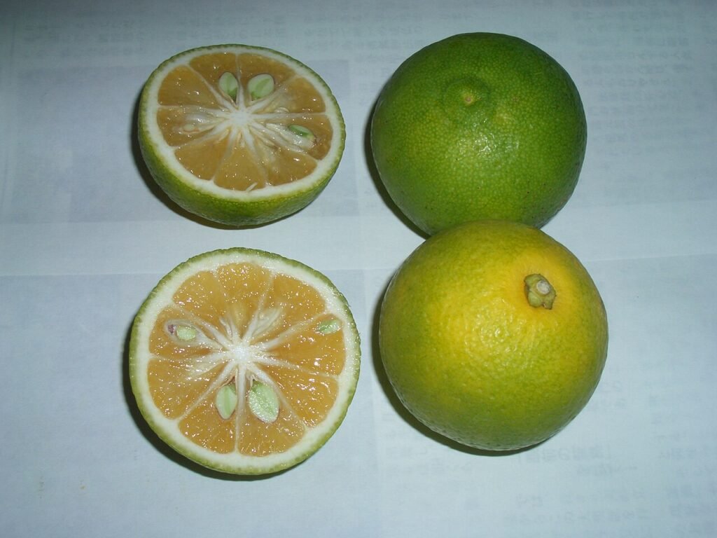 kabosu