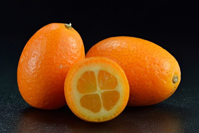 kumquat-jimenez