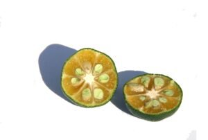 mandarine-shekwasha