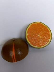 oranger-chocolate