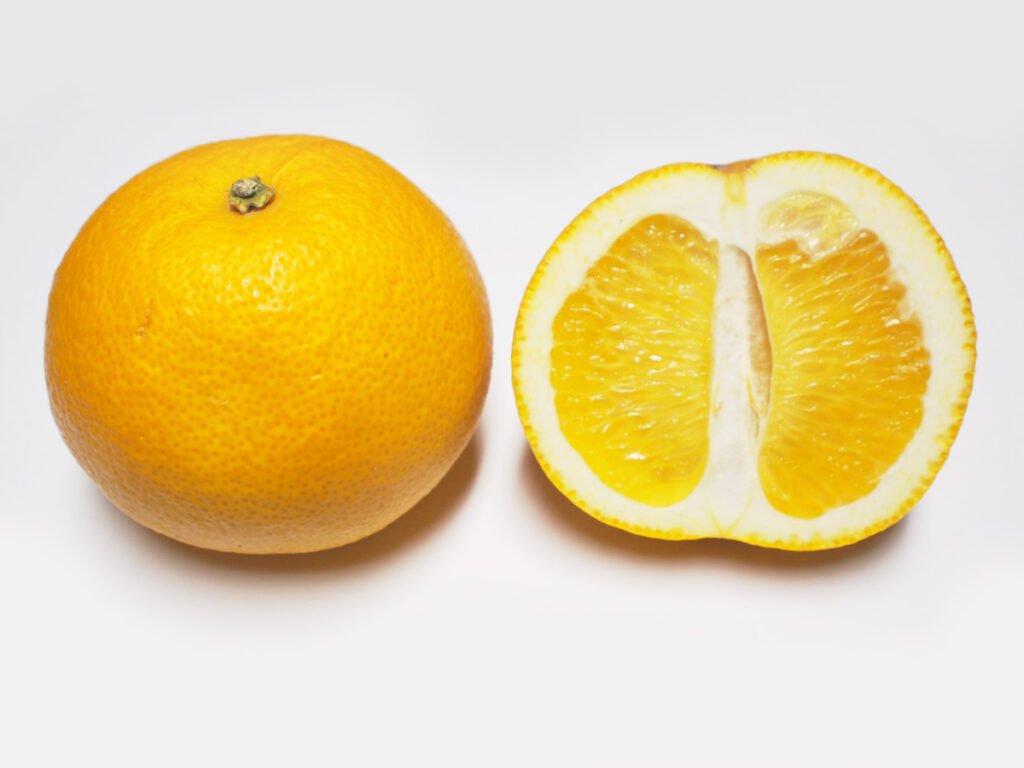 pomelo-marunero