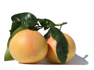 pomelo-rio-red