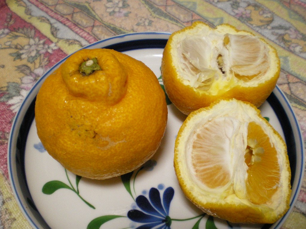 sambokan