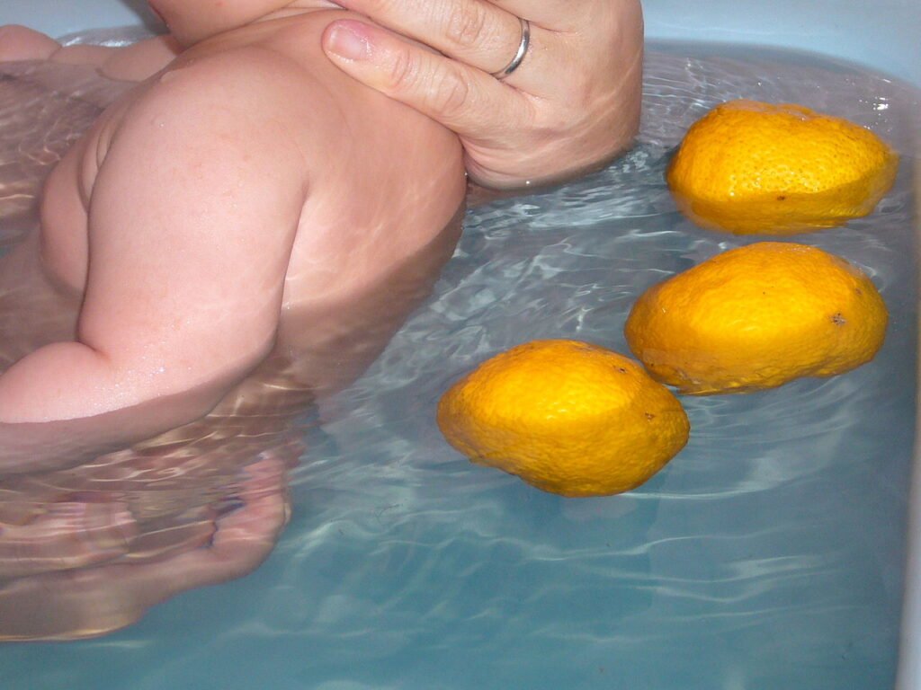 yuzu-citron