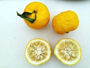 yuzu-doux-n30