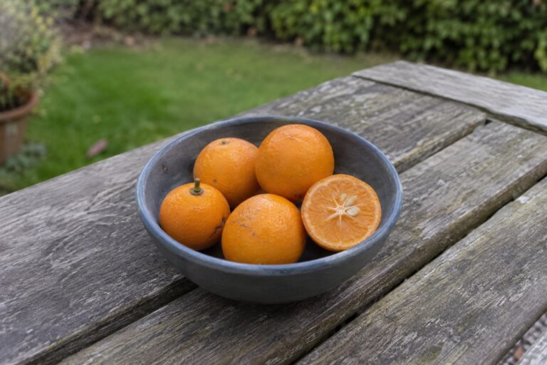 De petits agrumes orange presque ronds dans un bol posé au jardin.