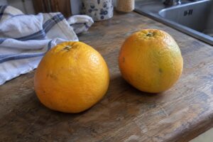 Deux agrumes jaunes orangés de kinkonshui posés près d’un torchon en cuisine.