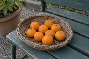 Petites mandarines orange récoltées dans un panier posé sur un banc de jardin.