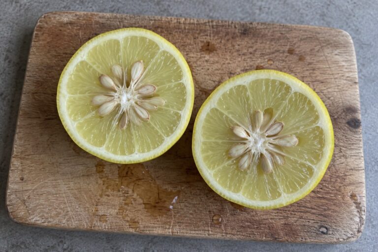 Agrume jaune coupé en deux montrant sa pulpe claire et ses nombreux pépins sur une planche de cuisine.
