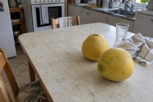 Deux pomelos jaunes légèrement piriformes posés près d’un torchon sur une table de cuisine.