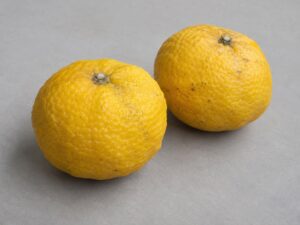 Deux fruits jaunes à la peau rugueuse, posés sur une surface gris clair.