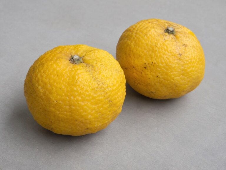 Deux fruits jaunes à la peau rugueuse, posés sur une surface gris clair.